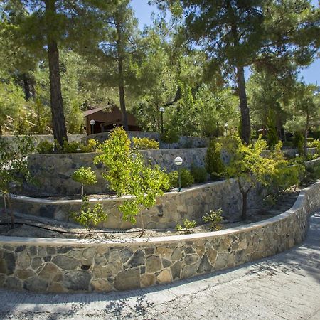 Ricky Chalet Near Troodos Spilia Dış mekan fotoğraf
