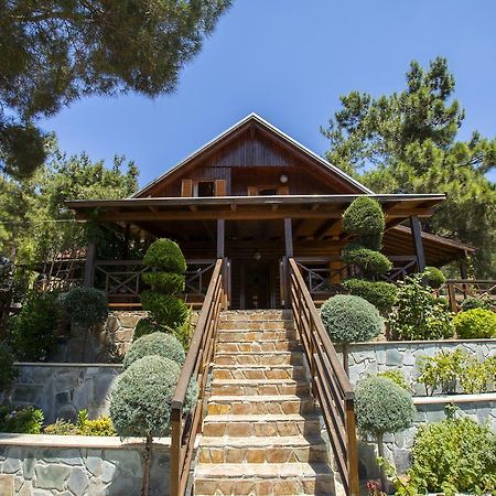 Ricky Chalet Near Troodos Spilia Dış mekan fotoğraf