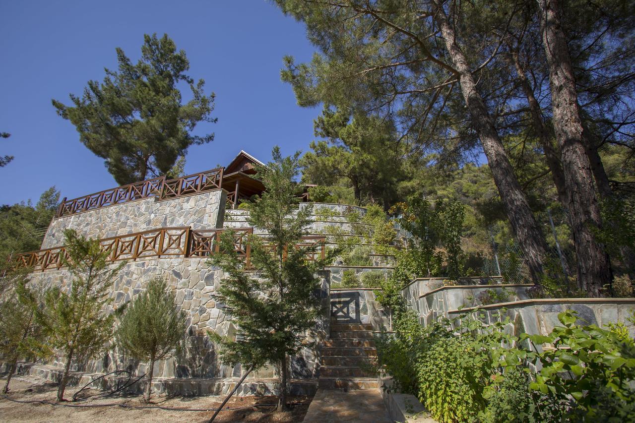 Ricky Chalet Near Troodos Spilia Dış mekan fotoğraf