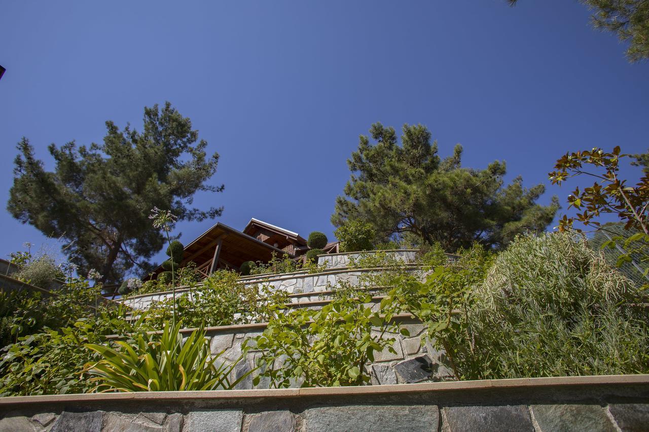 Ricky Chalet Near Troodos Spilia Dış mekan fotoğraf