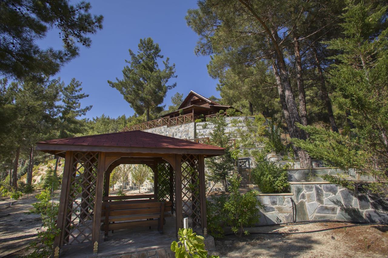 Ricky Chalet Near Troodos Spilia Dış mekan fotoğraf