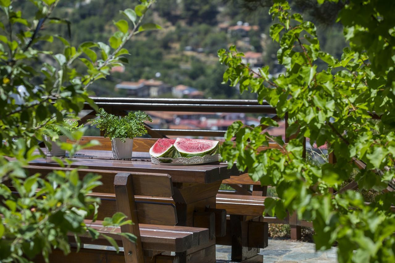 Ricky Chalet Near Troodos Spilia Dış mekan fotoğraf