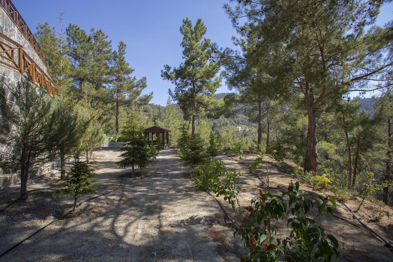 Ricky Chalet Near Troodos Spilia Dış mekan fotoğraf