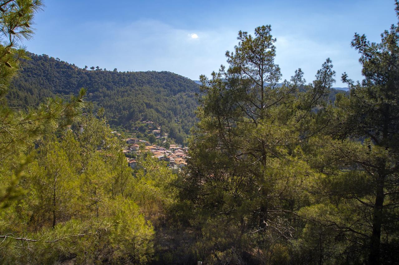Ricky Chalet Near Troodos Spilia Dış mekan fotoğraf