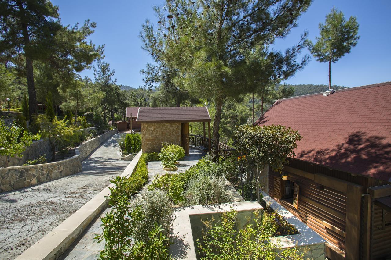 Ricky Chalet Near Troodos Spilia Dış mekan fotoğraf