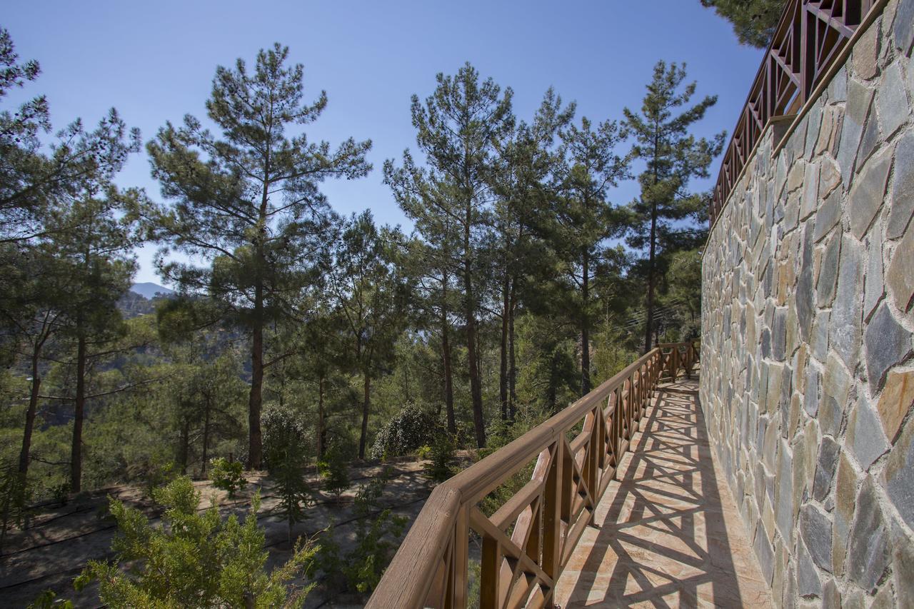 Ricky Chalet Near Troodos Spilia Dış mekan fotoğraf