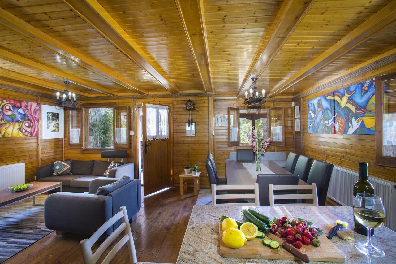 Ricky Chalet Near Troodos Spilia Dış mekan fotoğraf