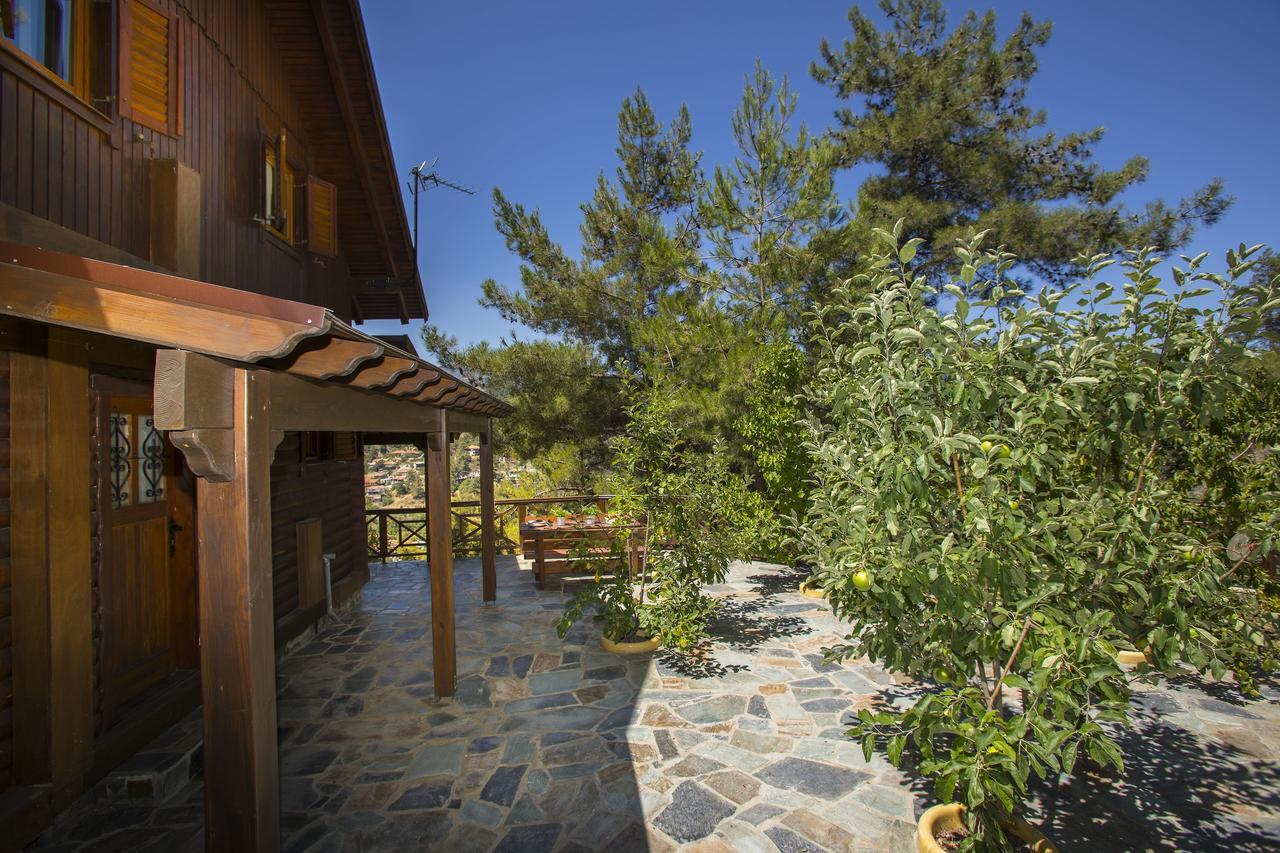 Ricky Chalet Near Troodos Spilia Dış mekan fotoğraf