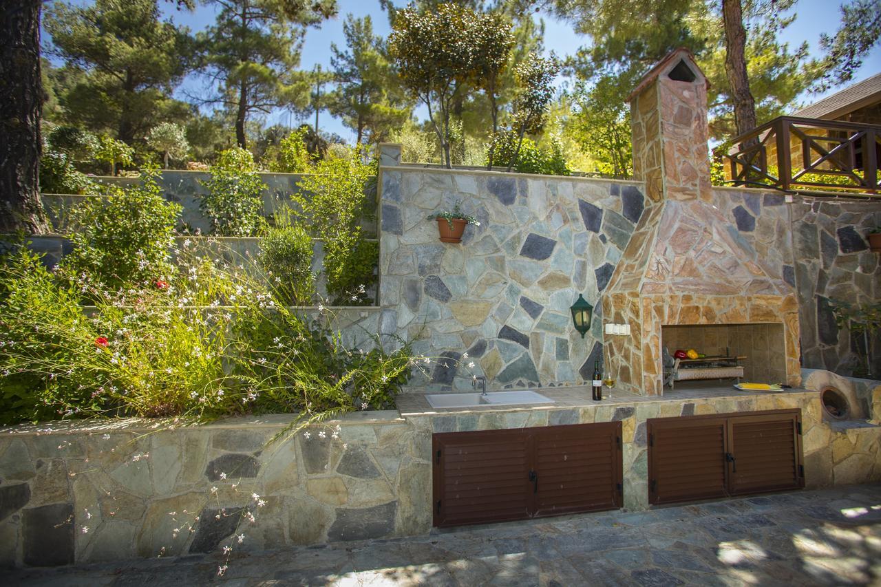 Ricky Chalet Near Troodos Spilia Dış mekan fotoğraf