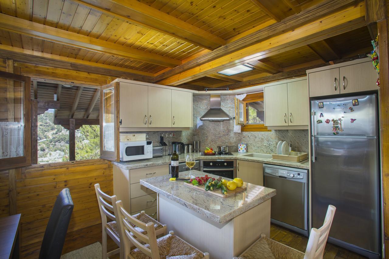 Ricky Chalet Near Troodos Spilia Dış mekan fotoğraf